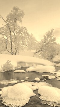 Szary + Sepia