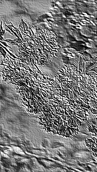 Skamielina