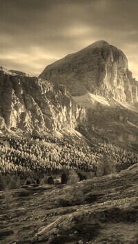 Szary + Sepia