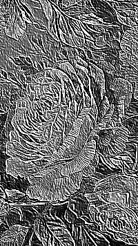Skamielina