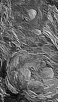 Skamielina