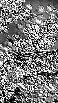 Skamielina