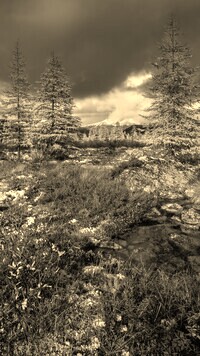 Szary + Sepia