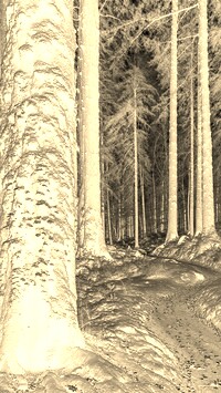 Sepia + Negatyw