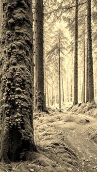 Sepia