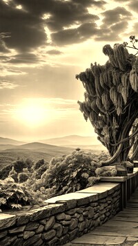 Szary + Sepia