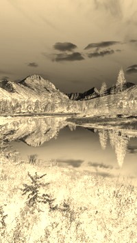 Sepia + Negatyw