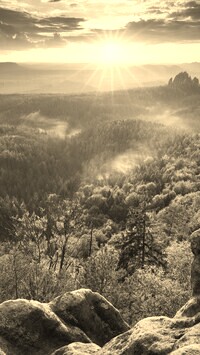 Sepia