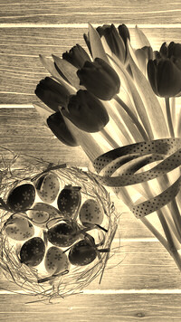 Sepia + Negatyw