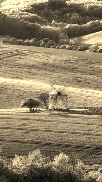 Szary + Sepia