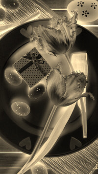 Sepia + Negatyw