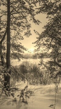 Szary + Sepia