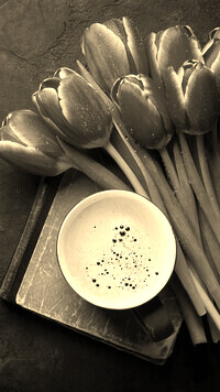 Sepia