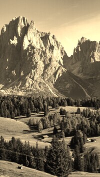 Szary + Sepia