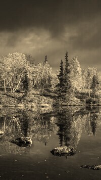 Szary + Sepia