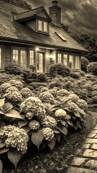 Sepia