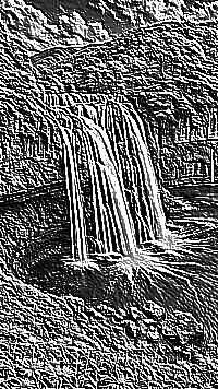 Skamielina