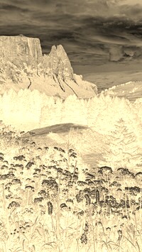 Sepia + Negatyw