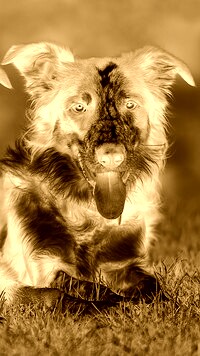 Sepia + Negatyw