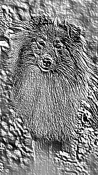 Skamielina