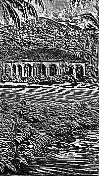 Skamielina