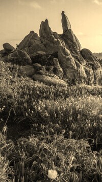 Sepia