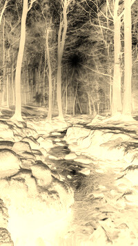Sepia + Negatyw