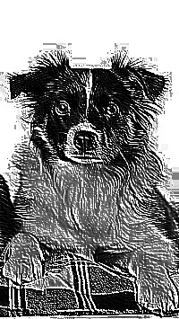 Skamielina