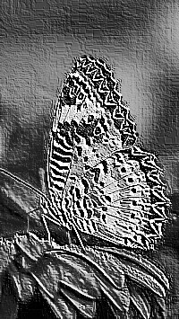 Skamielina