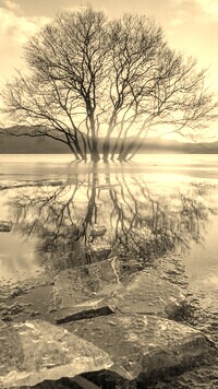 Szary + Sepia