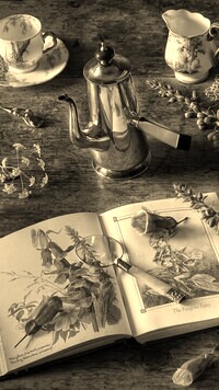 Sepia