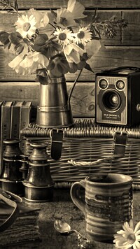 Szary + Sepia