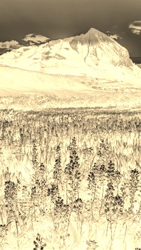 Sepia + Negatyw