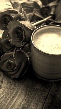 Szary + Sepia