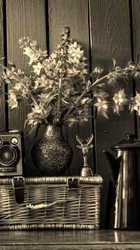 Szary + Sepia
