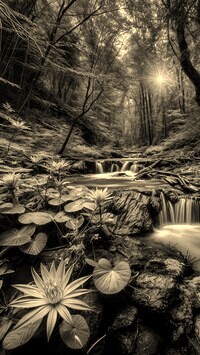 Sepia