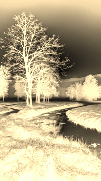 Sepia + Negatyw