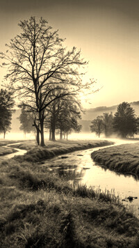 Szary + Sepia