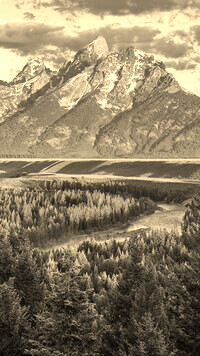 Sepia