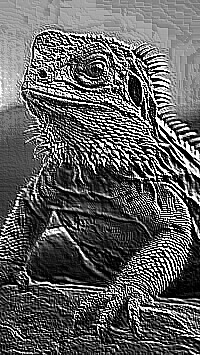 Skamielina