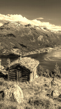 Sepia