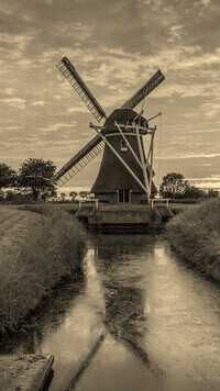 Szary + Sepia