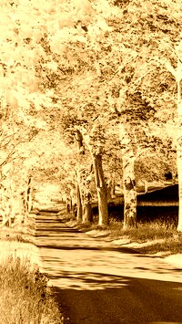 Sepia + Negatyw