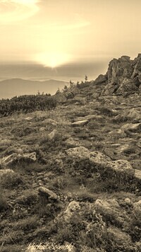 Szary + Sepia