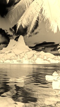 Sepia + Negatyw
