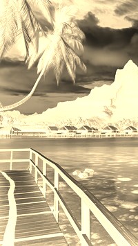 Sepia + Negatyw