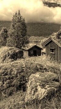Szary + Sepia