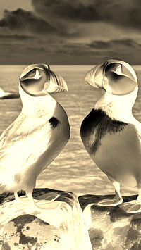 Sepia + Negatyw