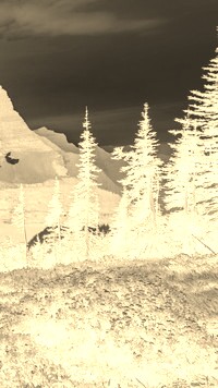 Sepia + Negatyw
