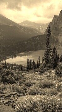 Szary + Sepia